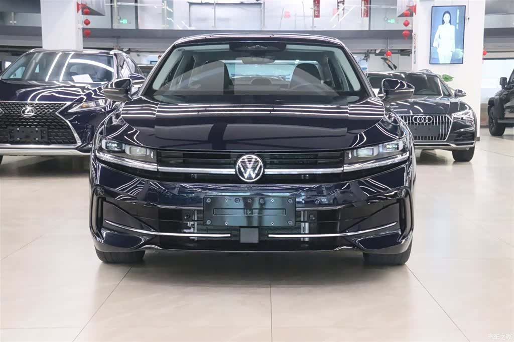 Volkswagen Magotan, 2024 2