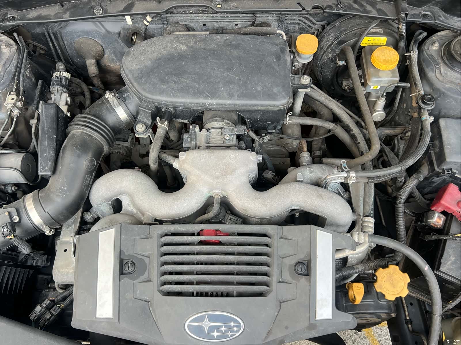 Subaru Forester, 2010 12