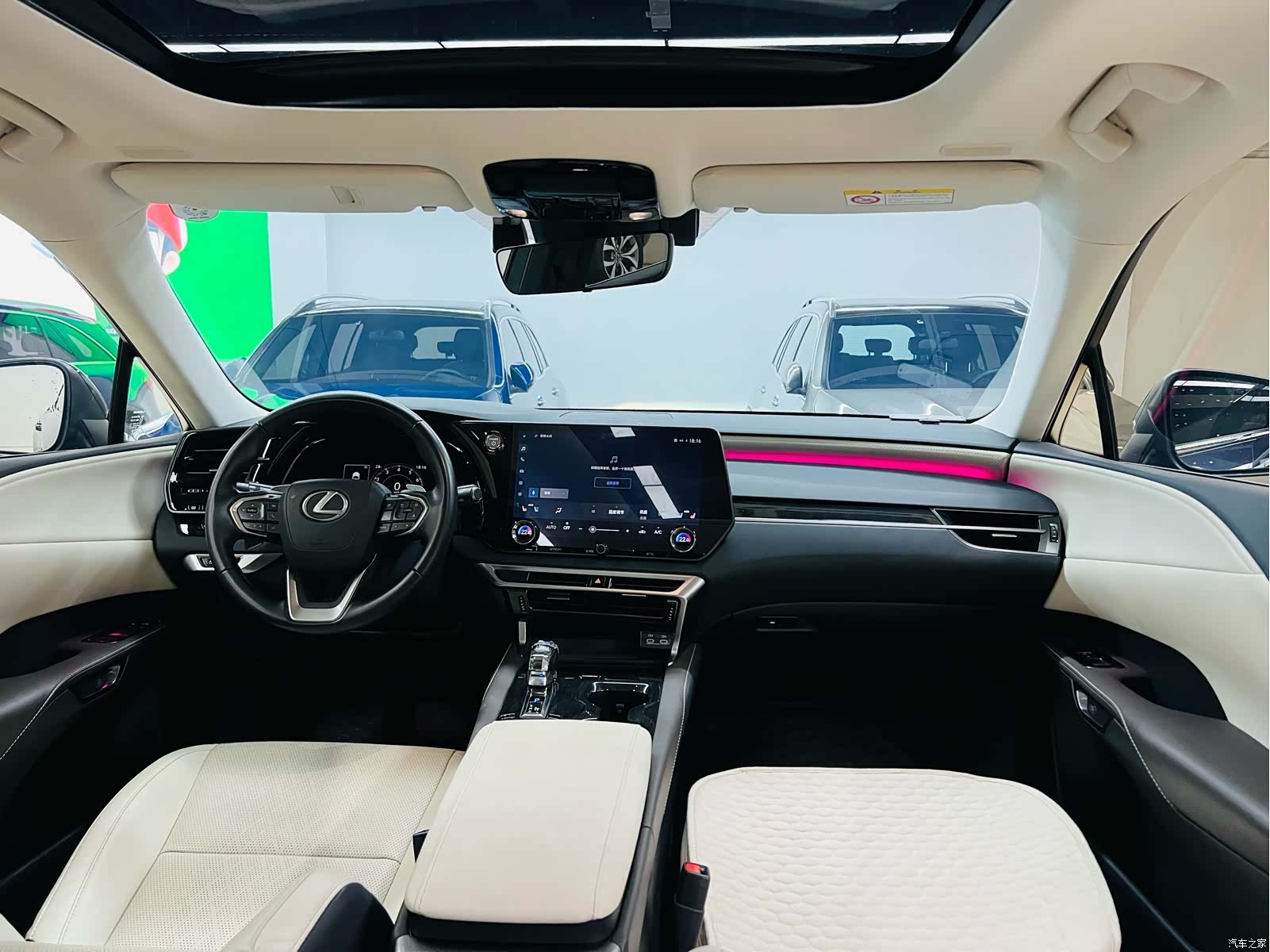 Lexus RX, 2023 15