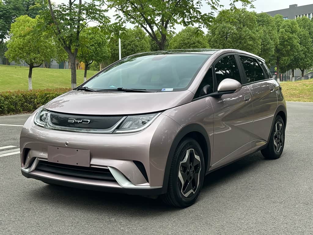 BYD Dolphin