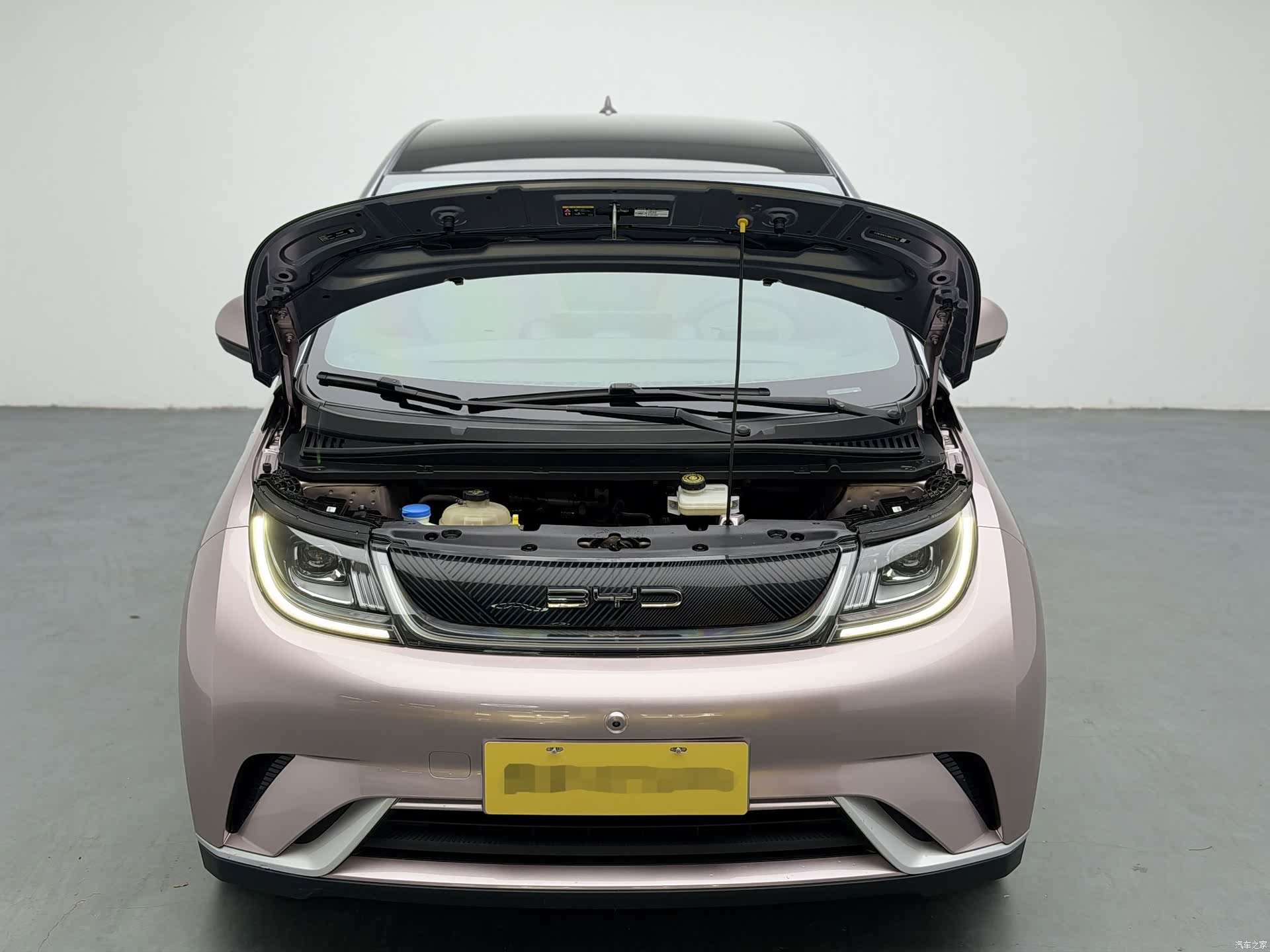 BYD Dolphin, 2022 8