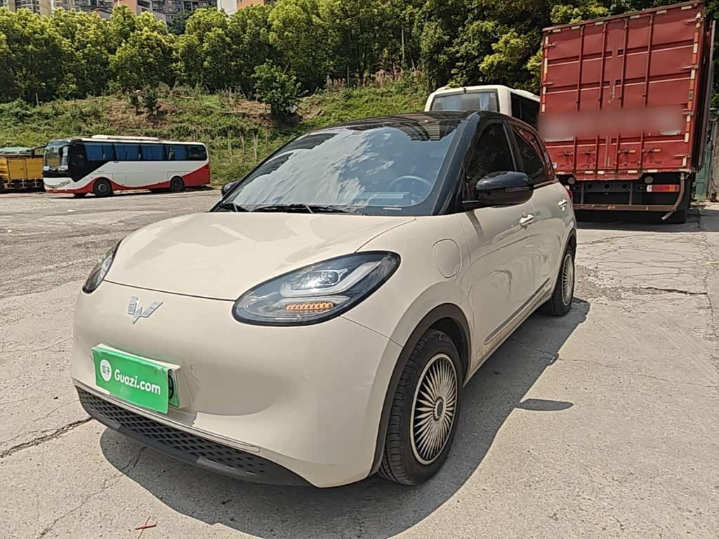 Wuling Binguo