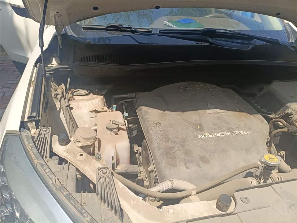 Leopaard Cheetah CS10