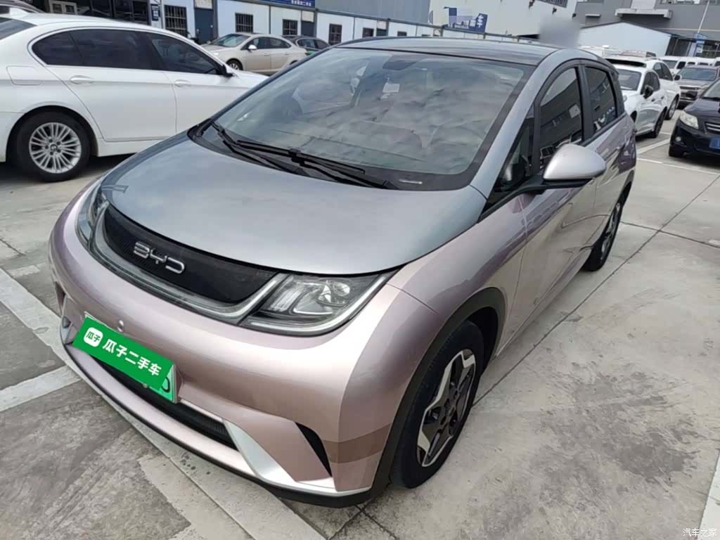 BYD Dolphin, 2022 2