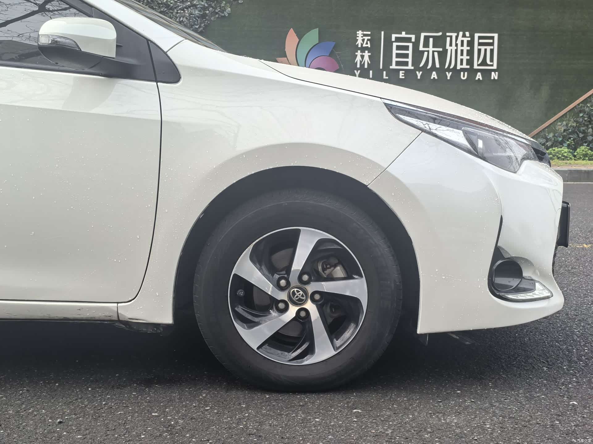 Toyota Levin, 2018 все фото