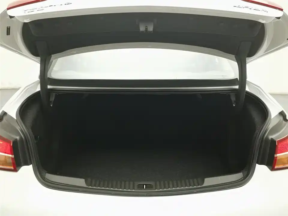 Buick Weilang
