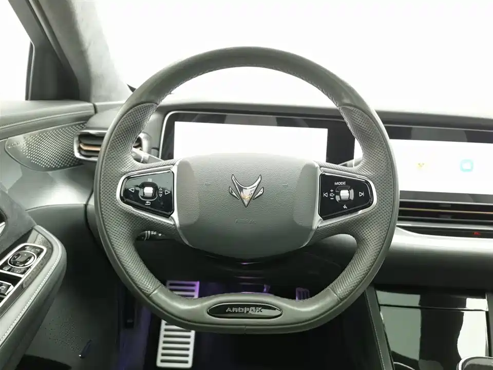 ARCFOX Polar Fox Alpha S