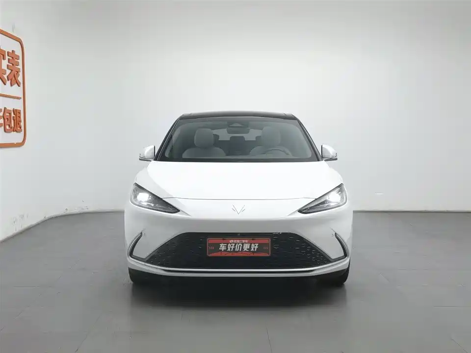 ARCFOX Polar Fox Alpha S