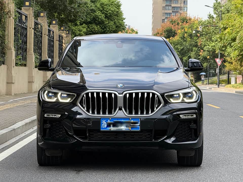 BMW X6
