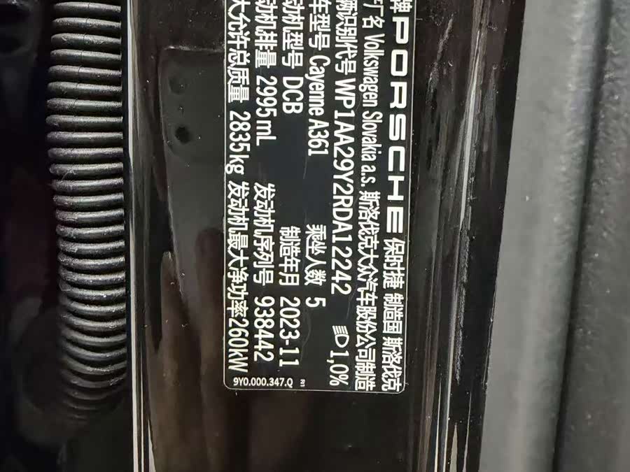 Porsche Cayenne 2024, фото 10