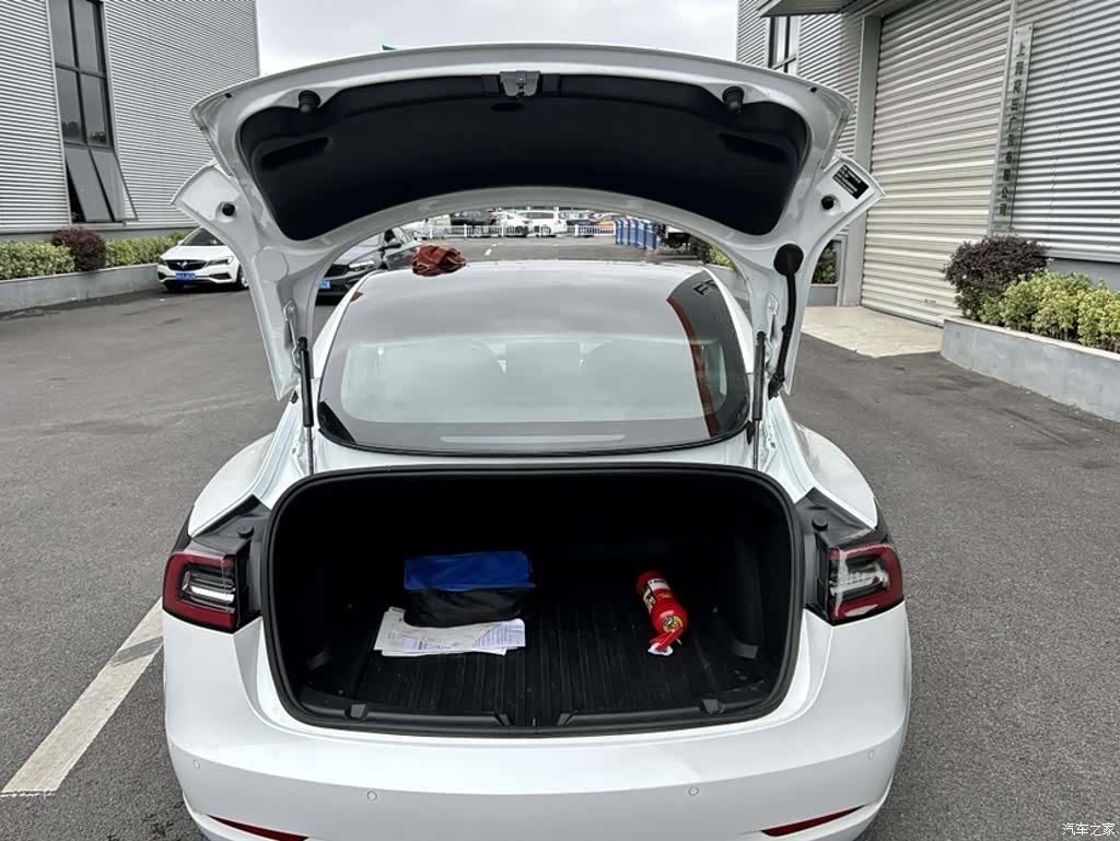 Tesla Model 3, 2020 10
