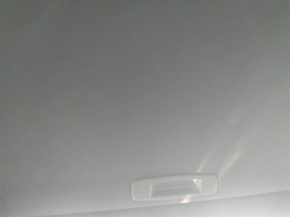 Trumpchi Shadow Leopard