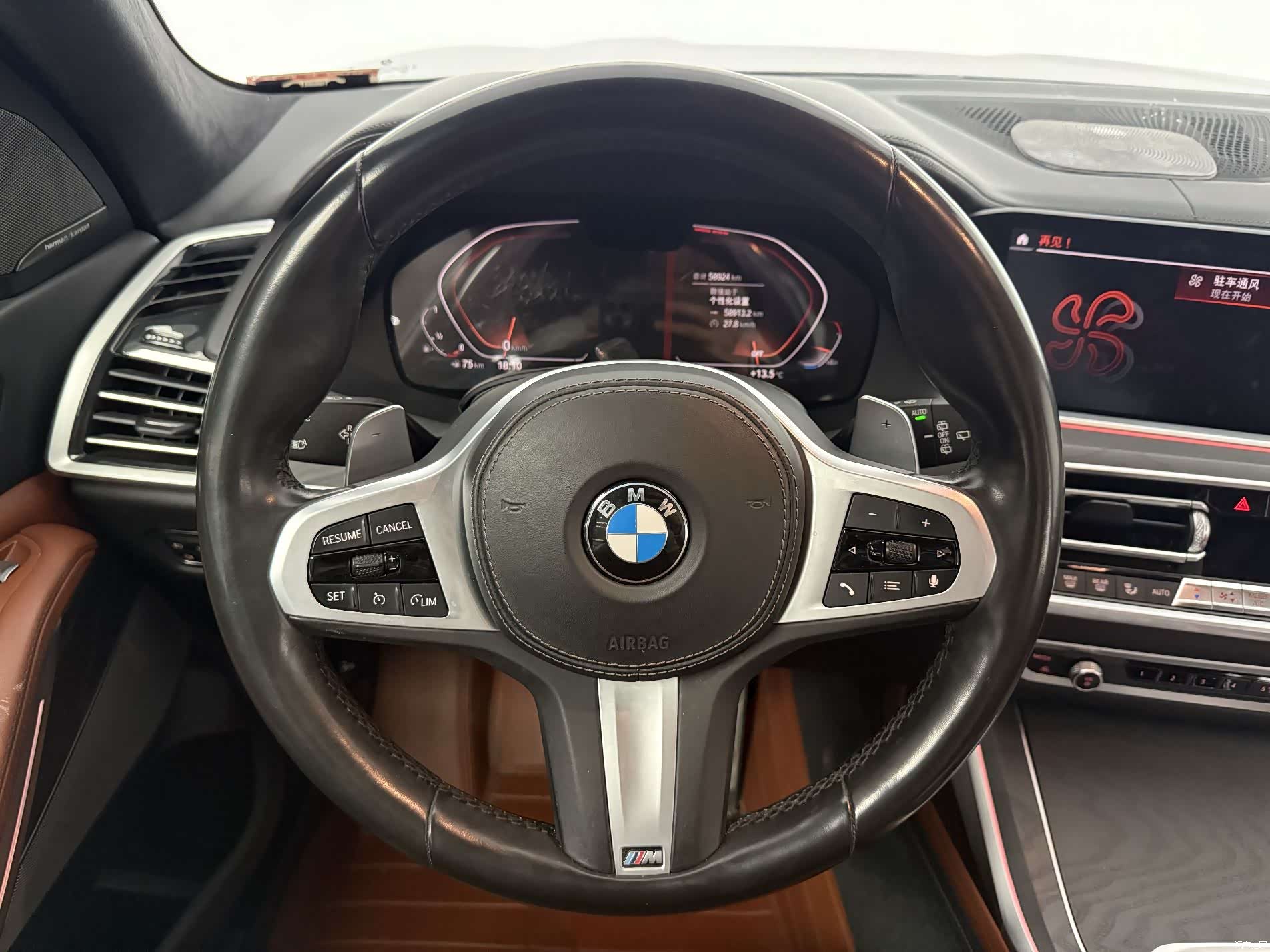 BMW X7, 2021 6