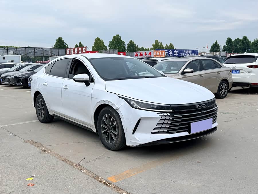 BYD Destroyer 05 2023, фото 3