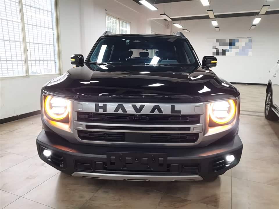 Haval Big dog
