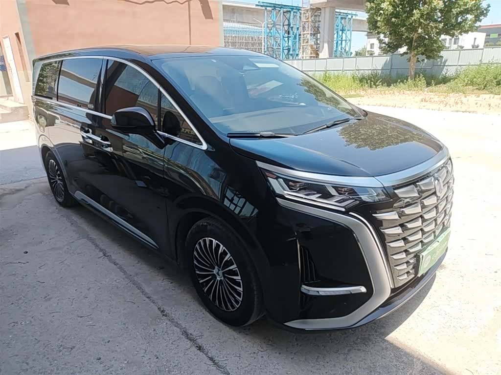 Denza D9, 2024 4