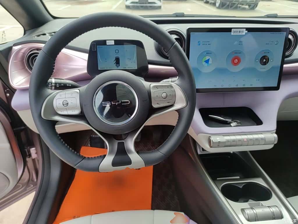 BYD Dolphin, 2022 11