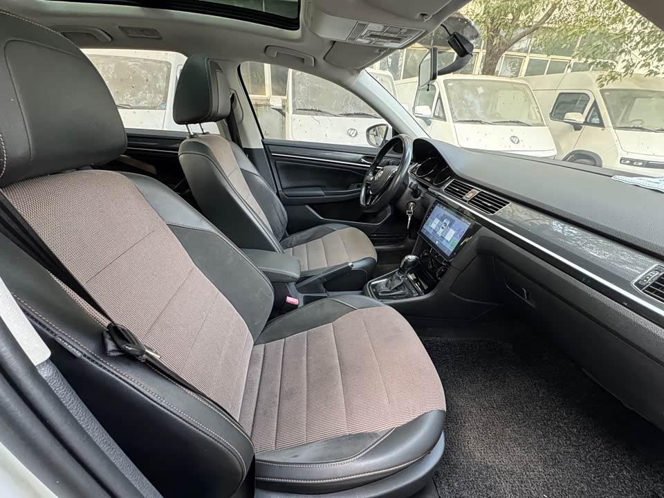 Volkswagen C-TREK Wei Collar