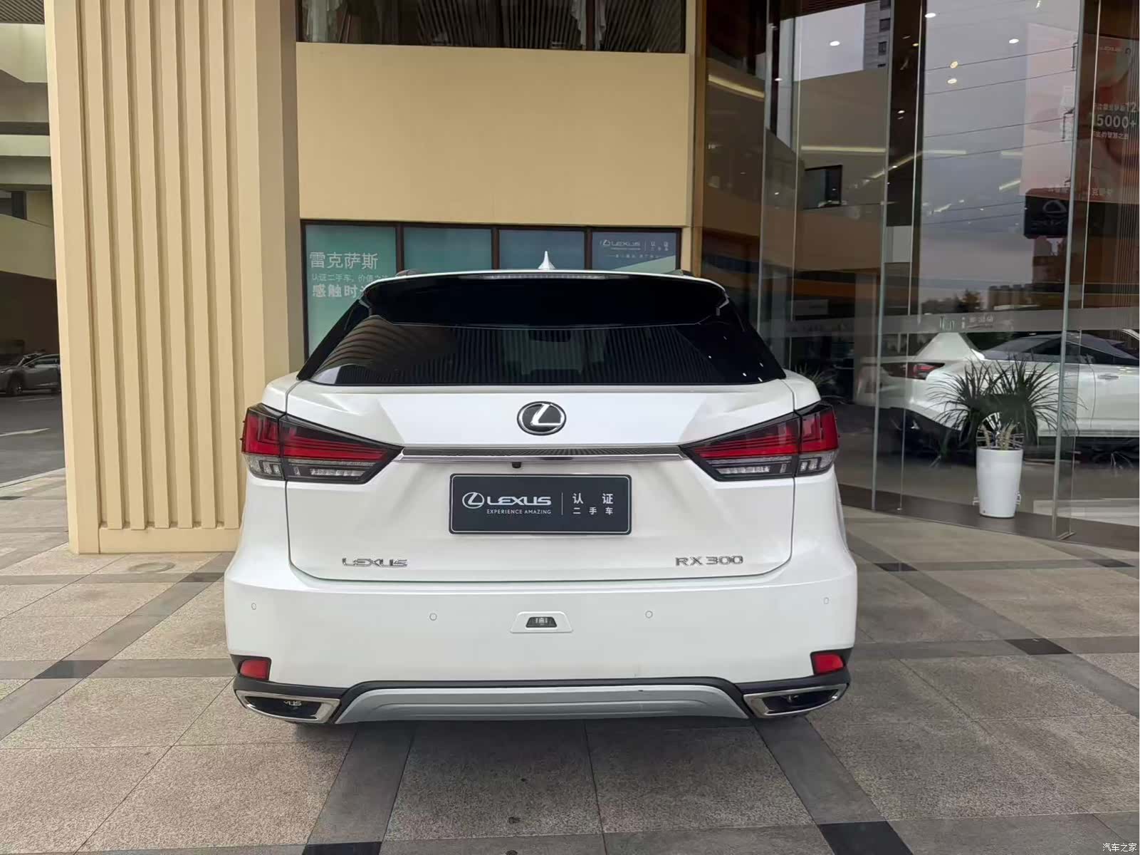 Lexus RX, 2022 9