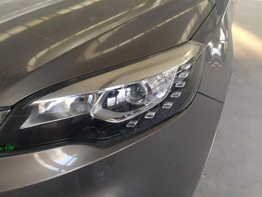 Leopaard Cheetah CS10