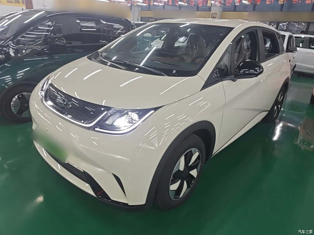 BYD Dolphin, 2026 1