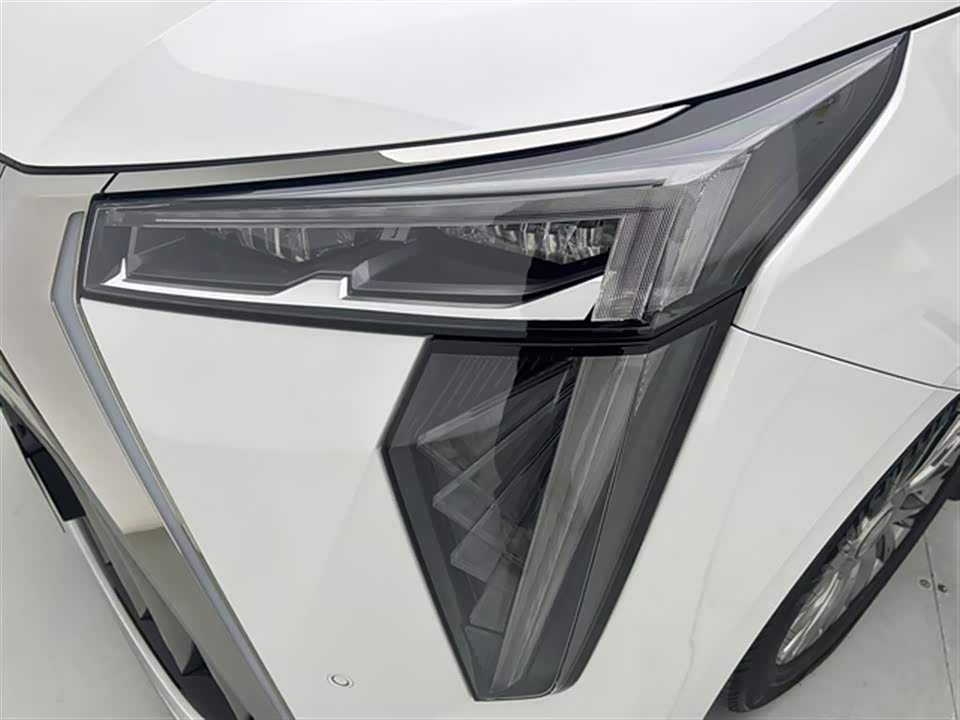 Trumpchi Trumpchi M8