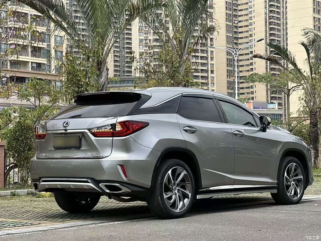 Lexus RX, 2017 11