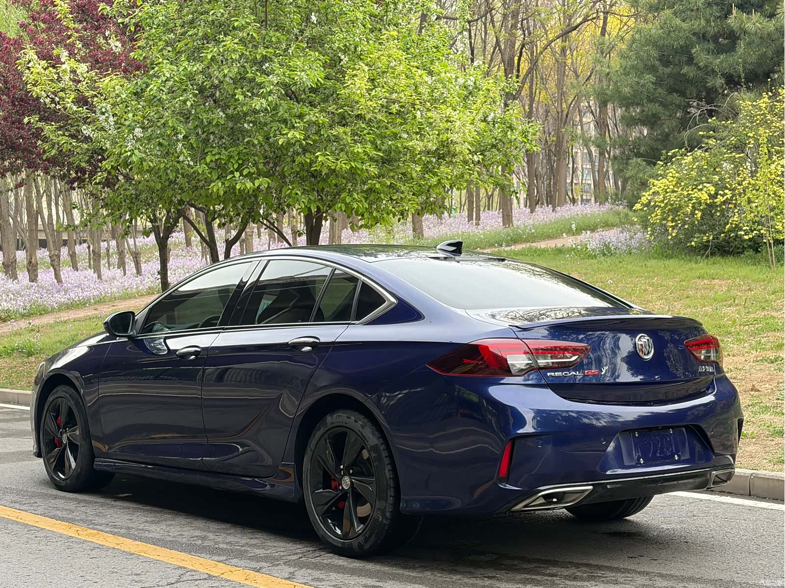 Buick Regal, 2017 11