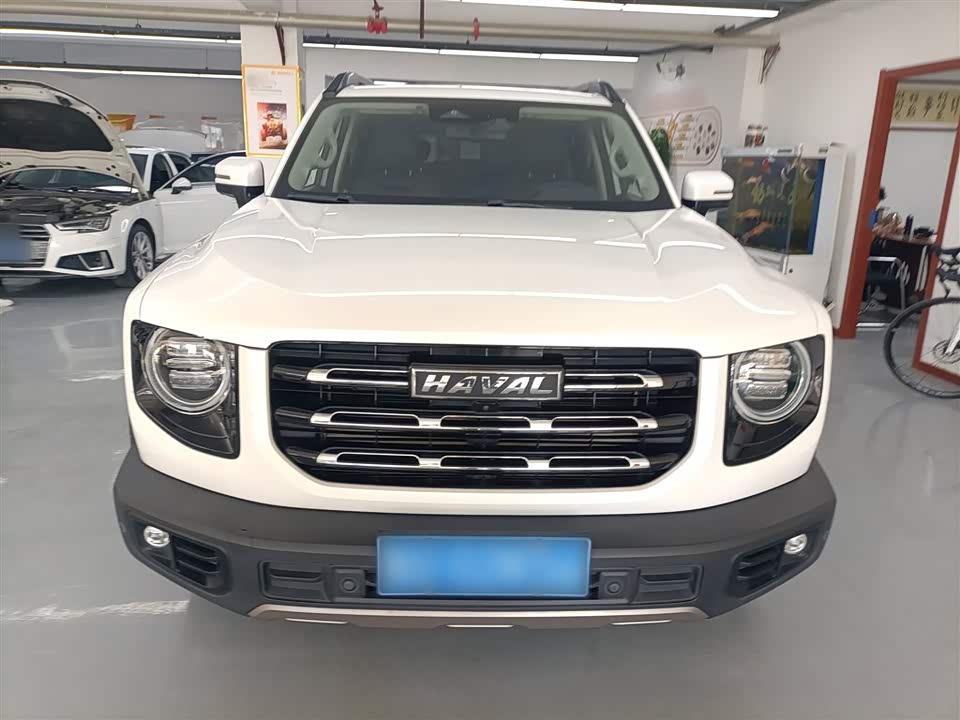 Haval Big dog