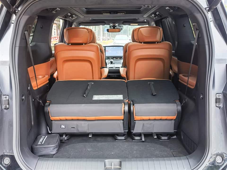 Trumpchi Trumpchi E9