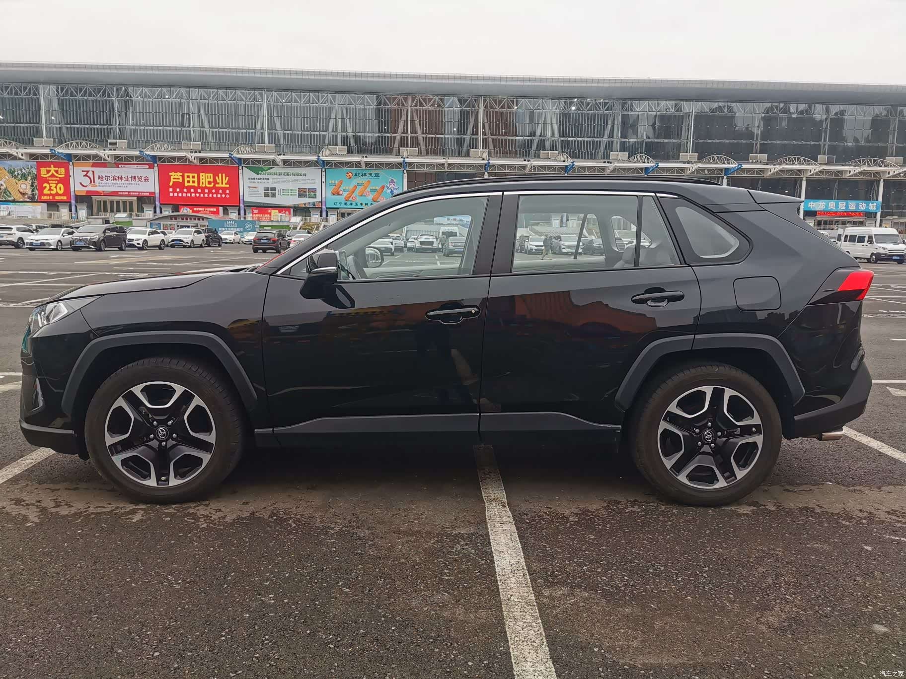 Toyota RAV4, 2022 все фото