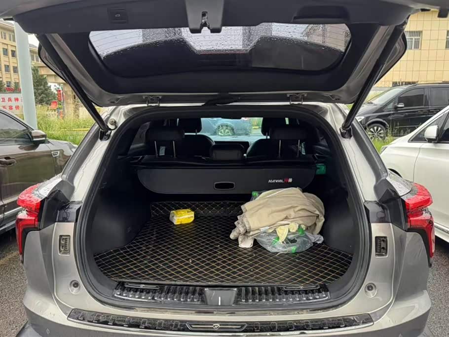 Haval Divine beast Haval Divine beast