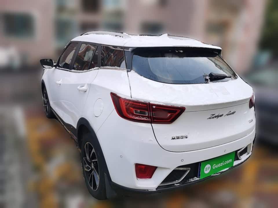 Zotye T300