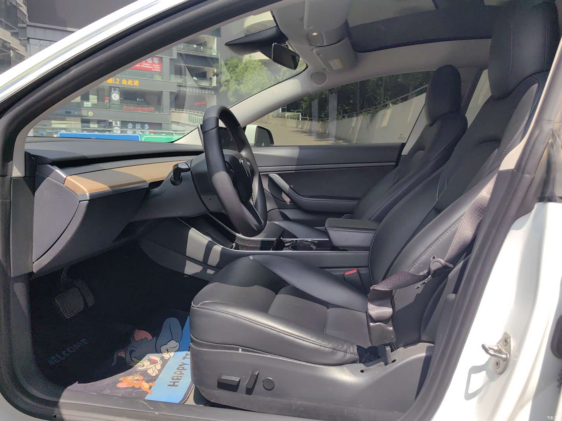Tesla Model 3, 2020 4
