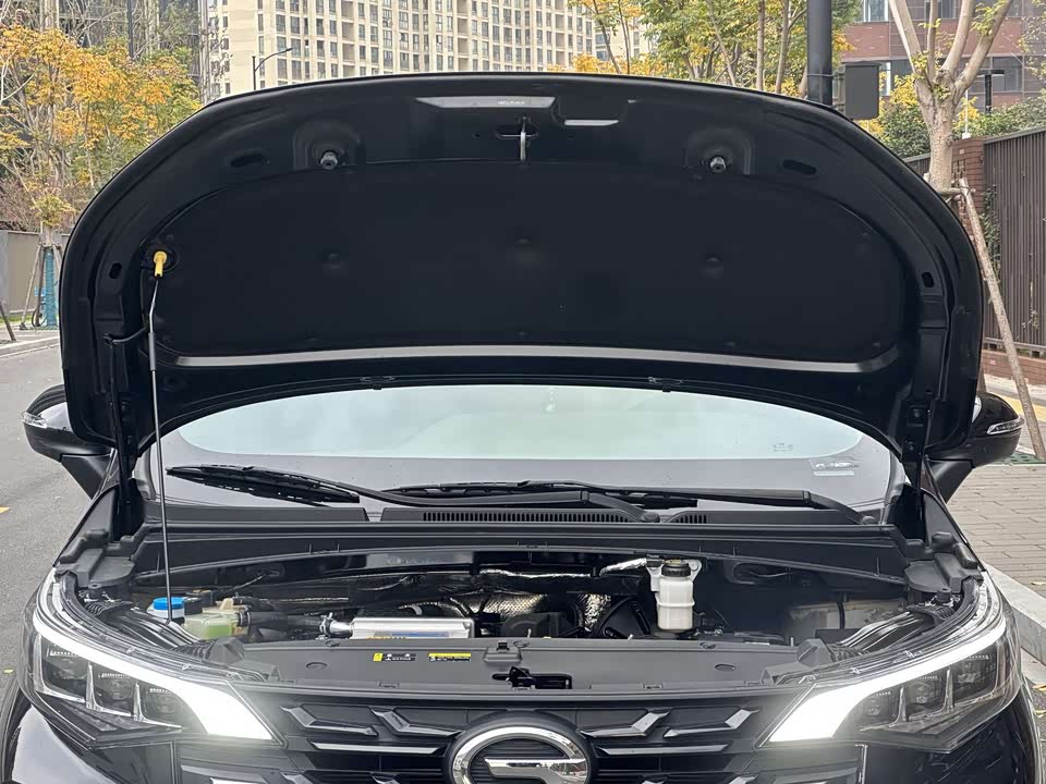 Trumpchi Trumpchi M6