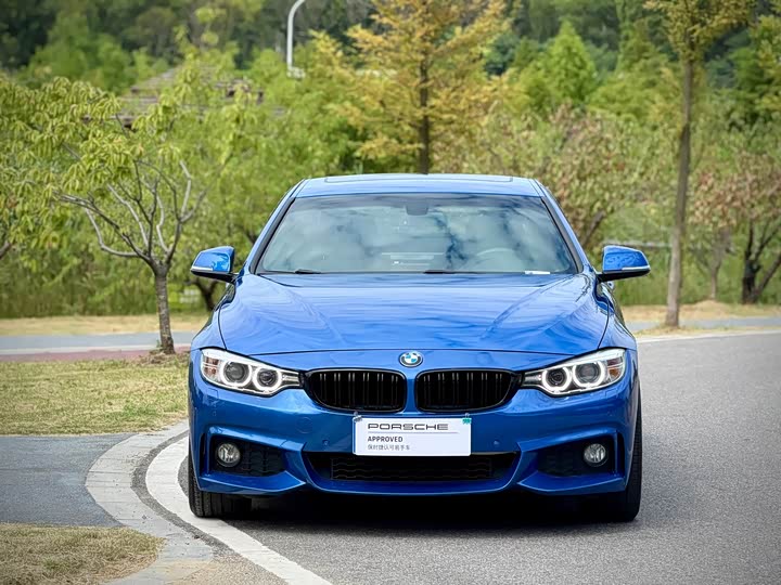 BMW 4 Series 2016 420i she ji tao zhuang xing