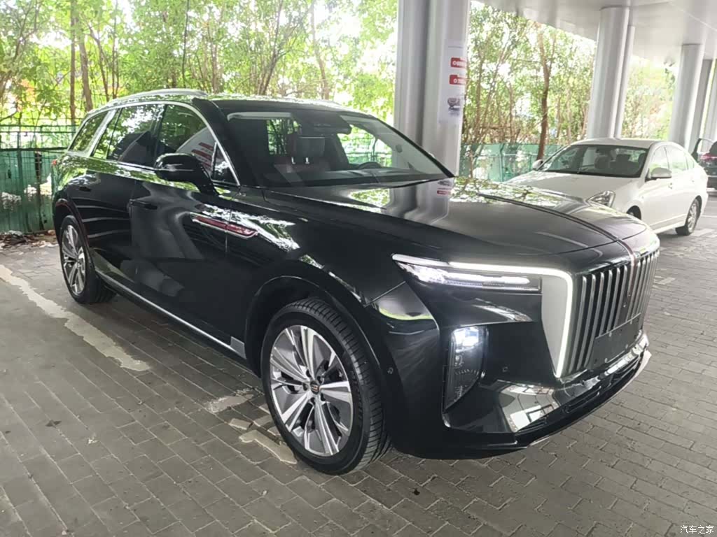 Hongqi E-HS9, 2023 4