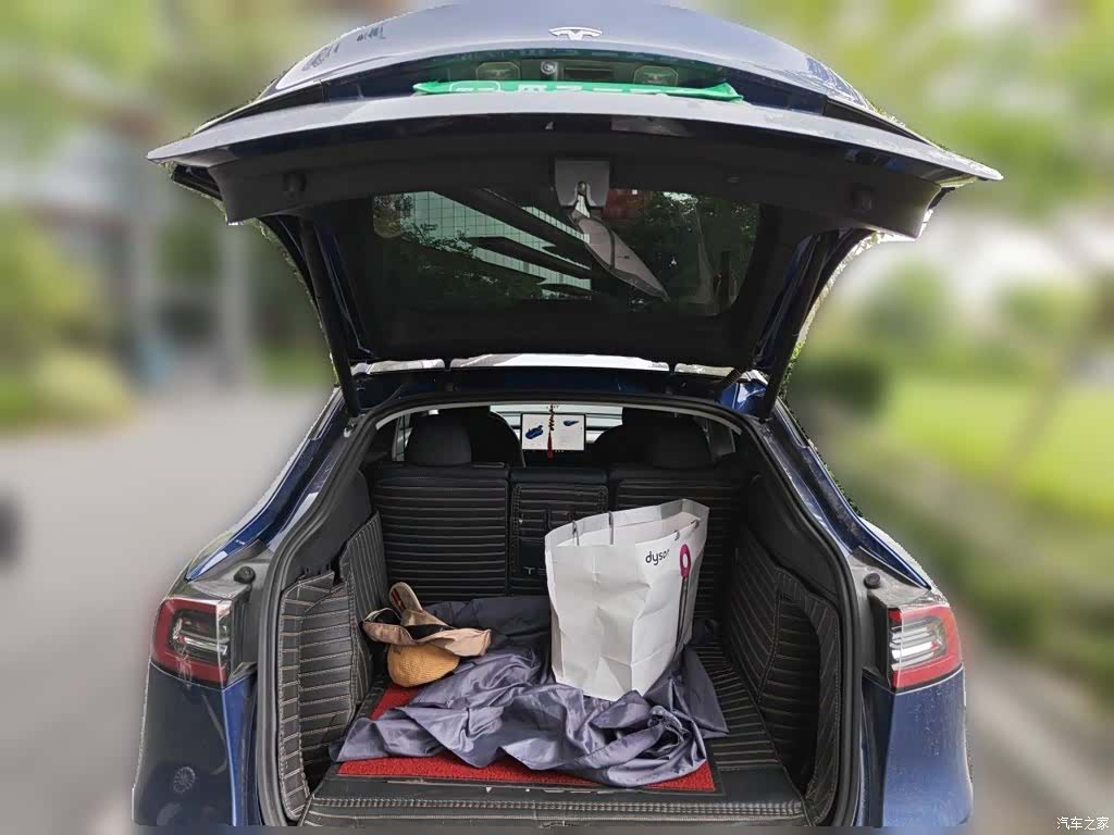 Tesla Model Y, 2021 10