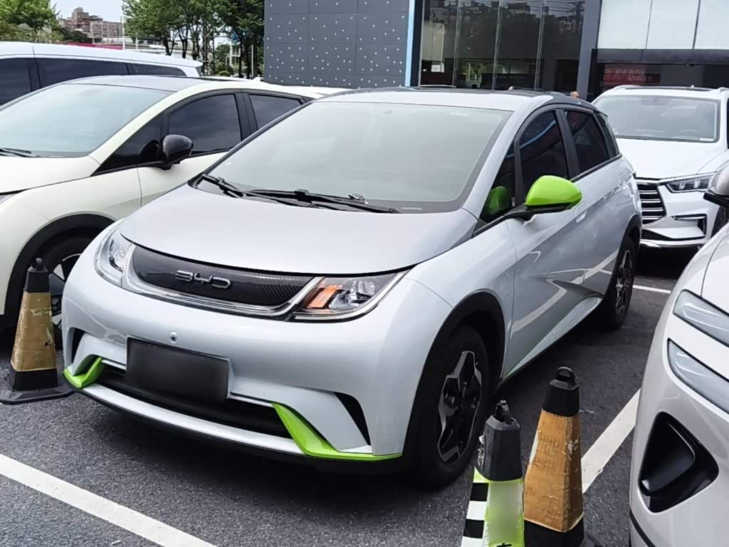 BYD Dolphin