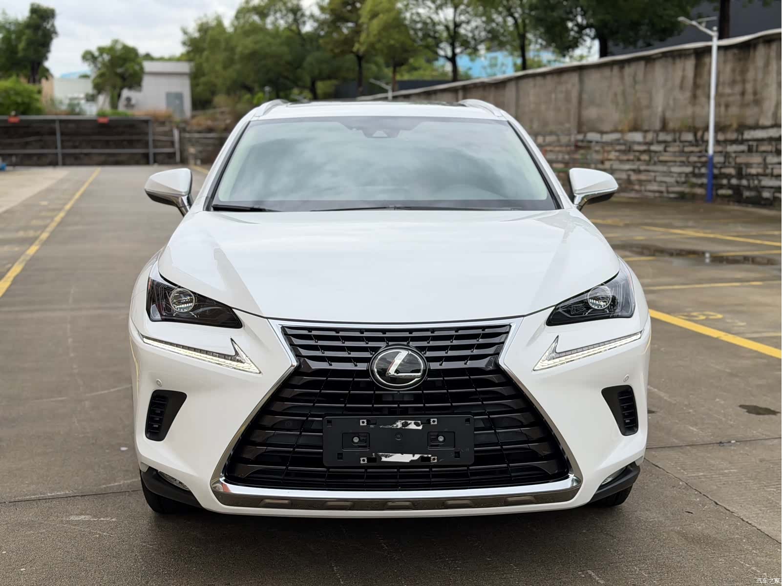 Lexus NX, 2021 2