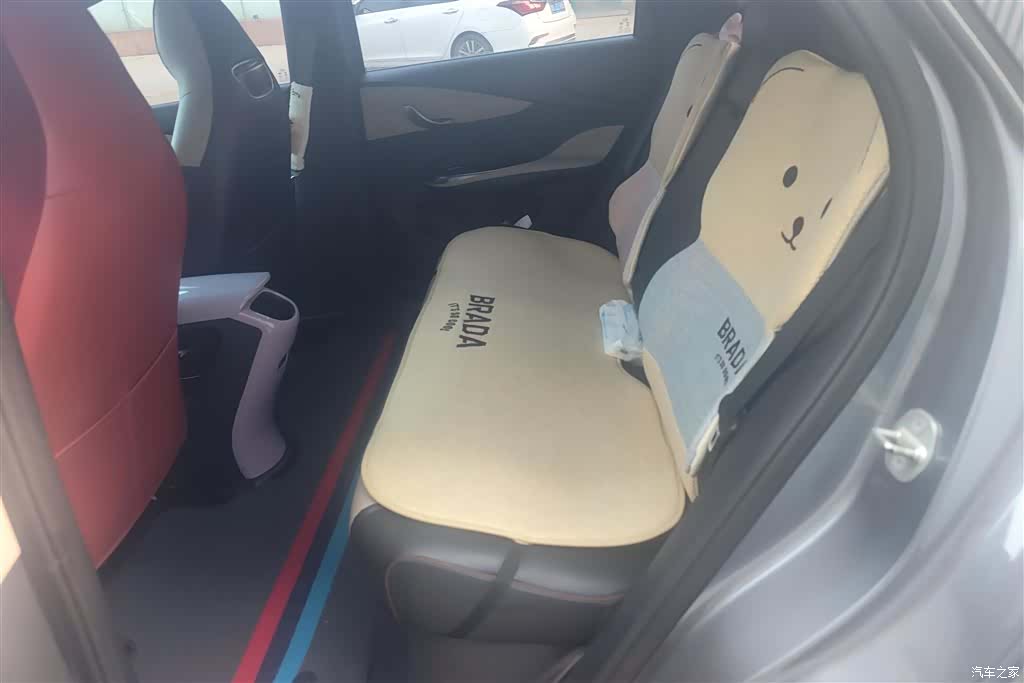 BYD Dolphin, 2023 11