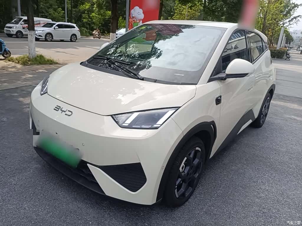 BYD Seagull, 2025 1