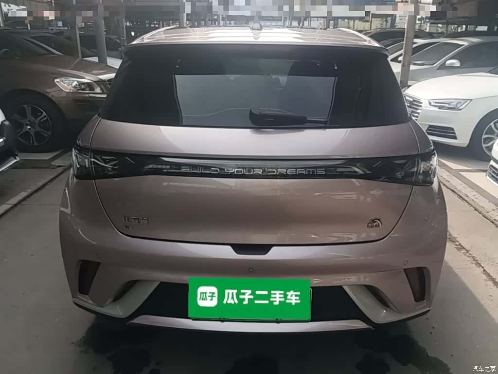 BYD Dolphin, 2023 6