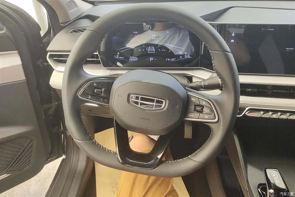 Geely Binray, 2024 15