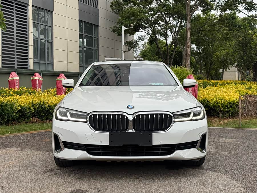 BMW 5 Series 2021, фото 2