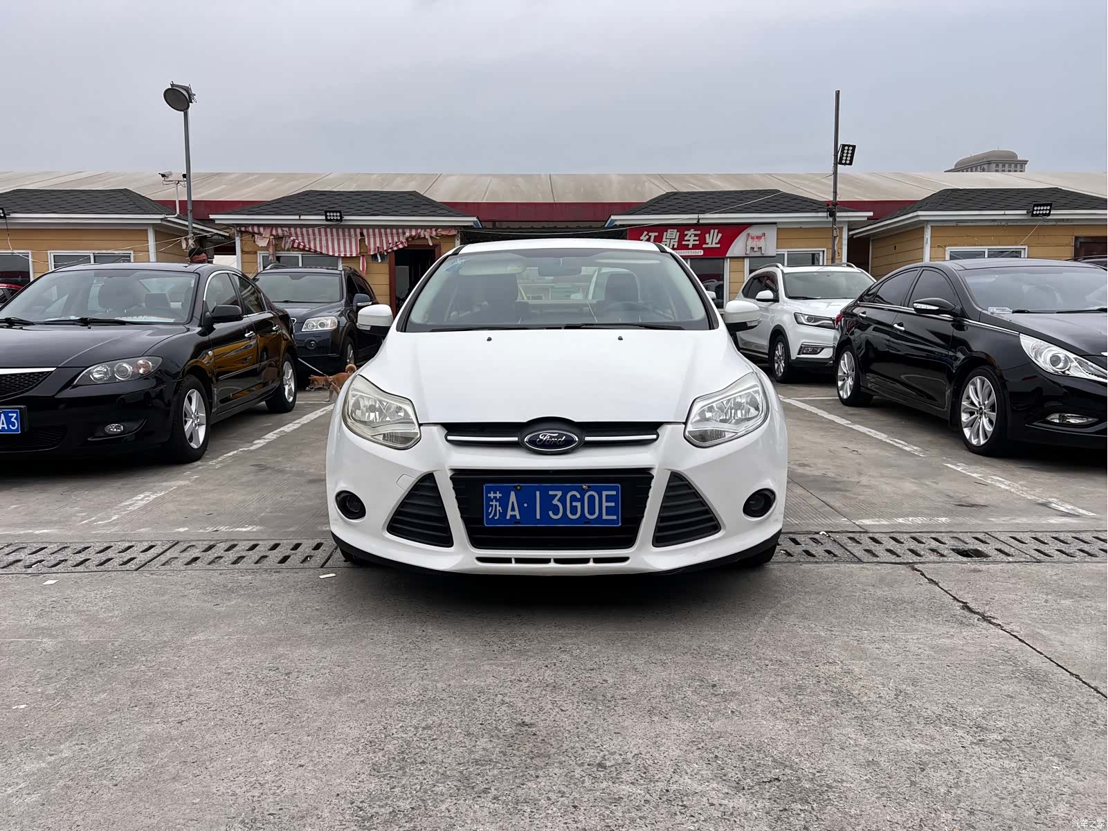 Ford Focus, 2014 1