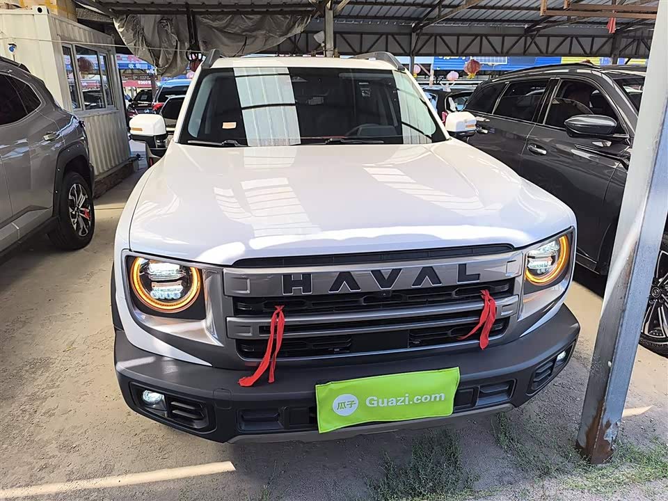 Haval Big dog