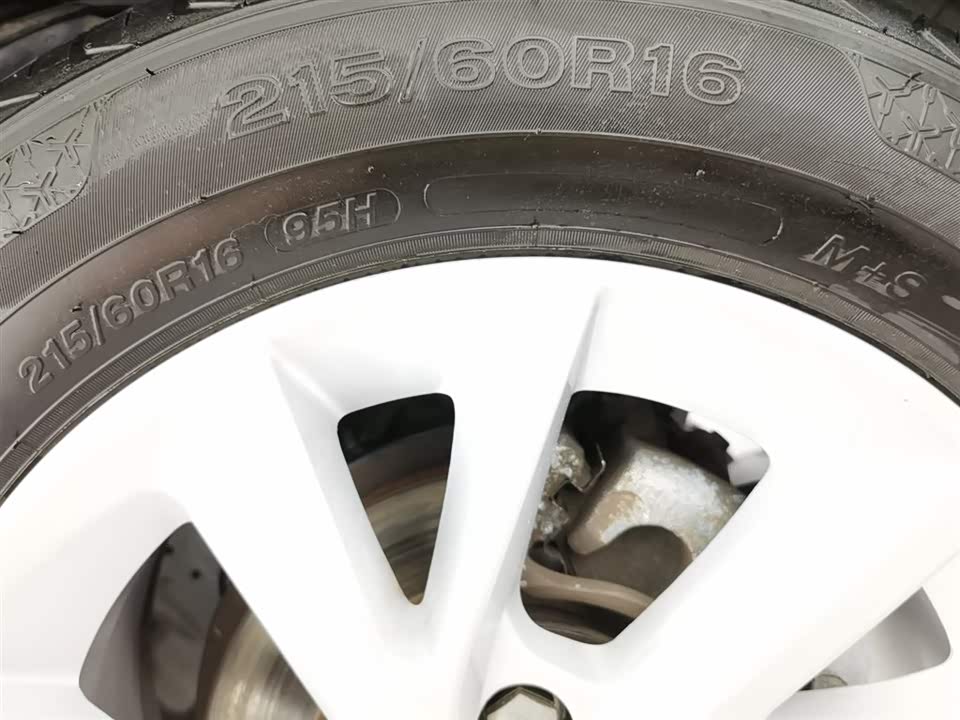 Forthing Lingzhi PLUS