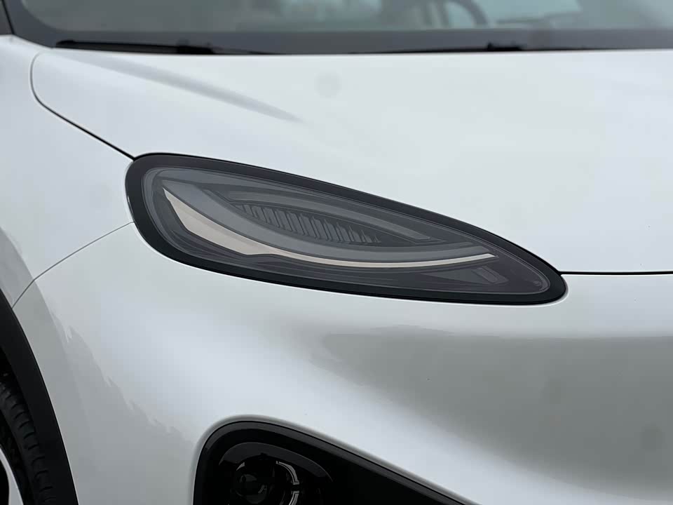 ARCFOX Polar fox koala