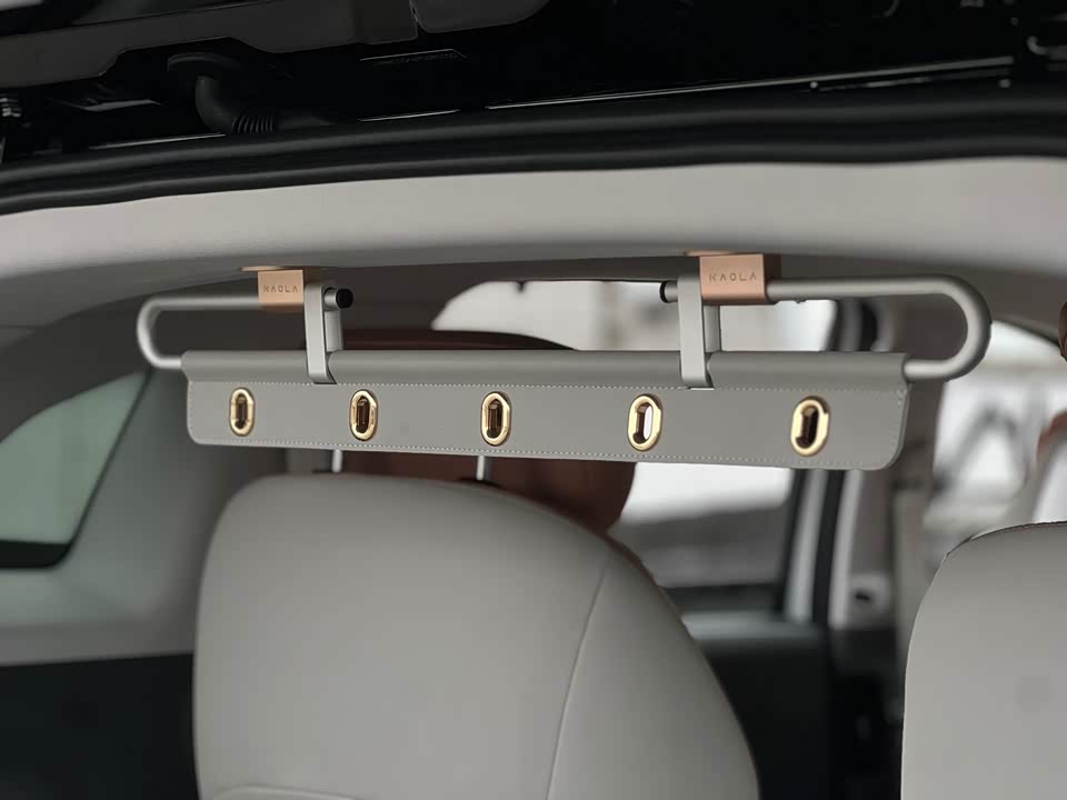 ARCFOX Polar fox koala